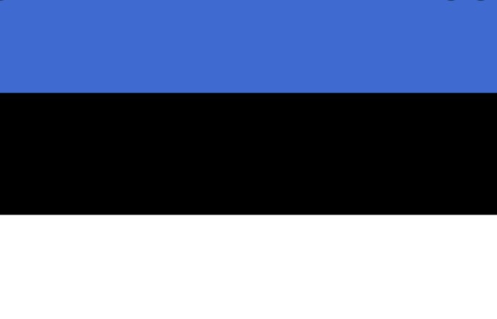 Estonya Vizesi